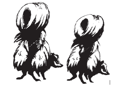 How to Tell if a Skunk Is About to Spray