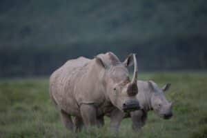 Wildlife Sanctuary to be Reopened to Visitors