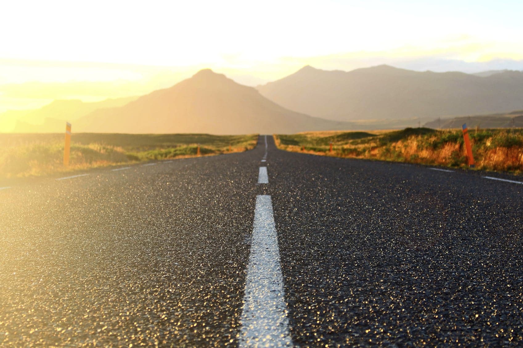 How to Keep Distance from Wildlife When on the Road