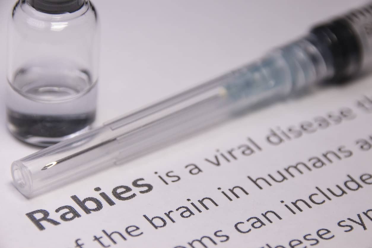 Rabies Vaccine