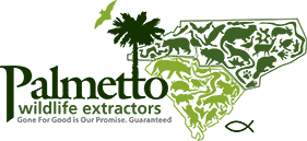 Palmetto Wildlife Extractors Logo